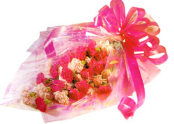red, pink carnation bouquet